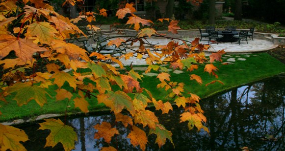 Ancaster ON (Terrace)